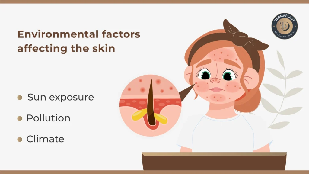 Environmental factors affecting the skin